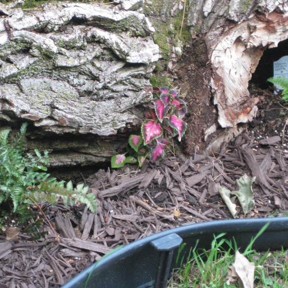 Meet your Posher, Maria - Picture 8 of 8